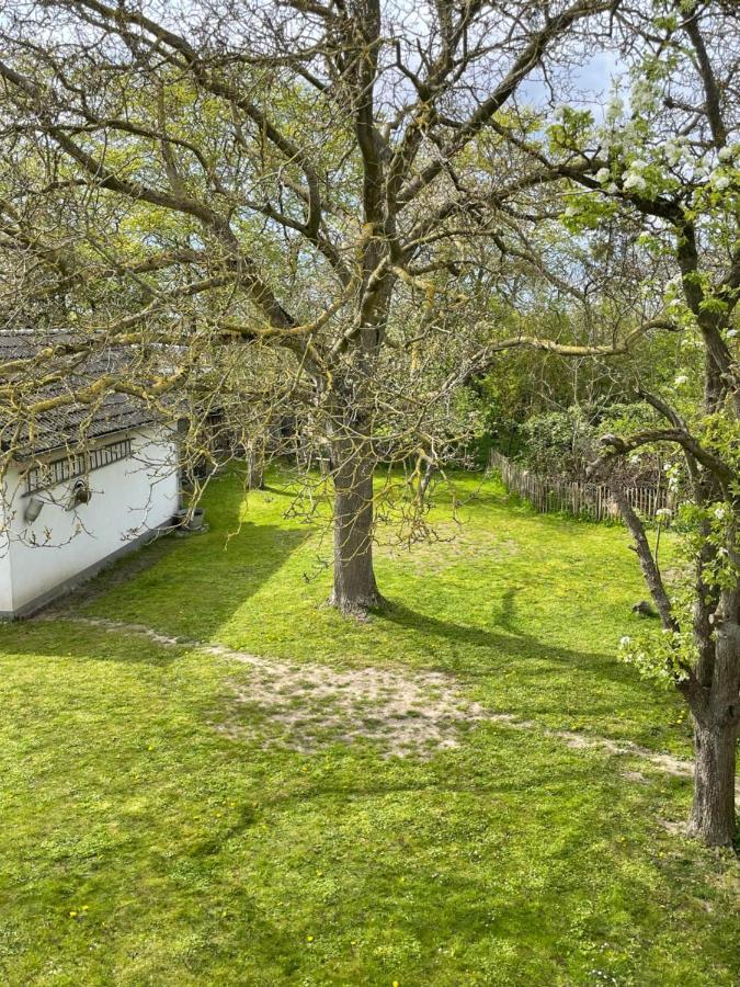 Kleines Haus Am Feld Βίλα Rehna Εξωτερικό φωτογραφία
