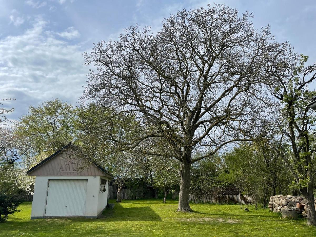 Kleines Haus Am Feld Βίλα Rehna Εξωτερικό φωτογραφία