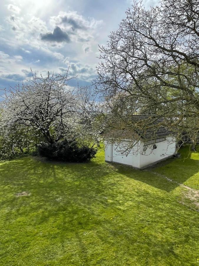 Kleines Haus Am Feld Βίλα Rehna Εξωτερικό φωτογραφία